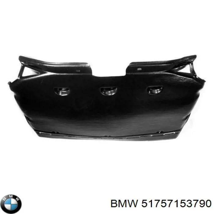 Купити 51757153790 BMW Захист піддона картера двигуна