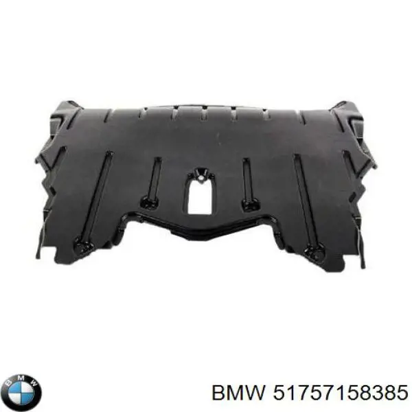 Купити ATPP1220121004 Bapmic Захист двигуна передній
