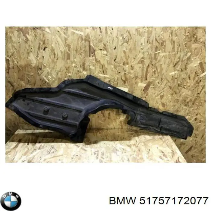 Молдинг заднього скла 51757172077 BMW