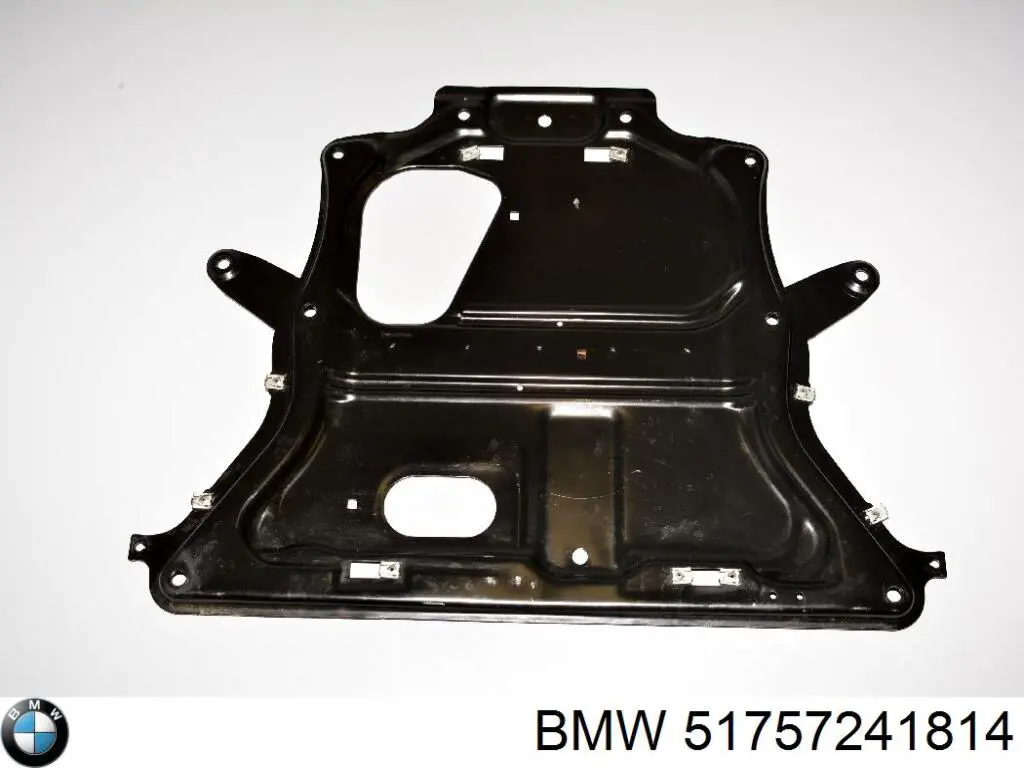 Купити 51757241814 BMW Захист піддона картера двигуна