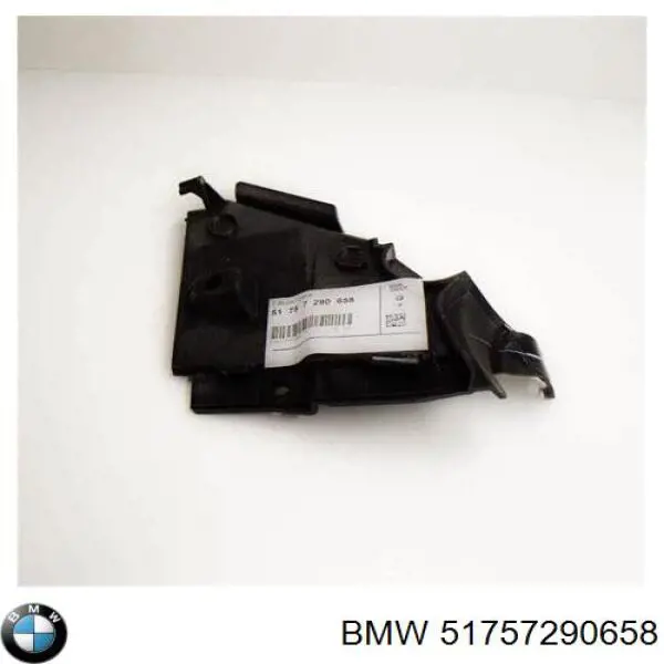 51757290658 BMW Огорожа передня
