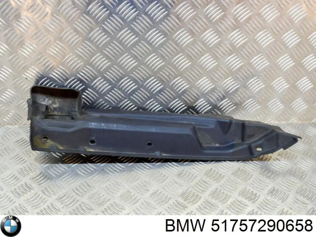 Перегородка моторного відсіку 51757290658 BMW