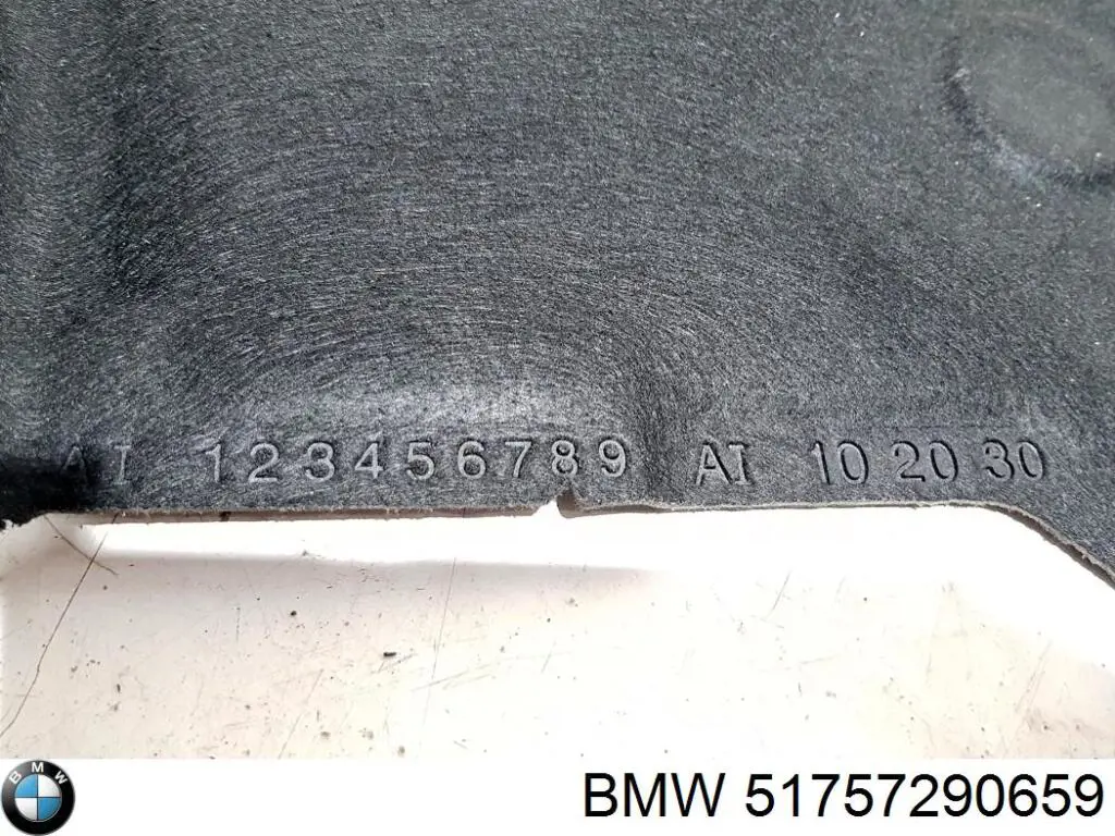 Захист двигуна 7290659 BMW