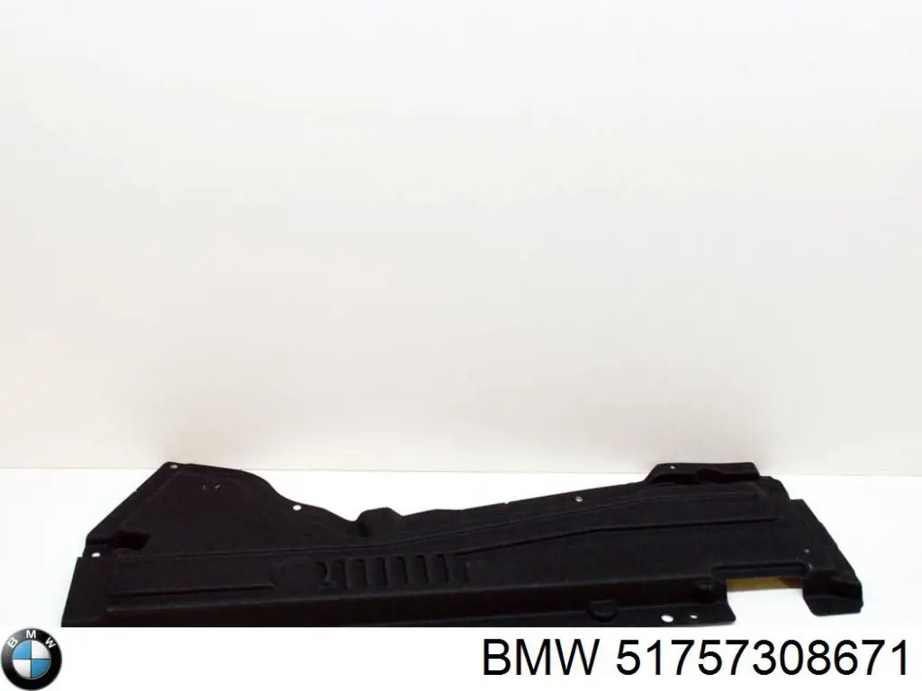 Захист днища, лівий BMW 51757308671 ціна, від 50.68 USD