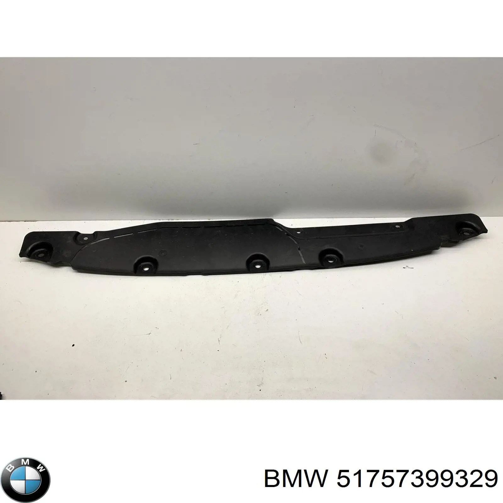  51757399329 BMW