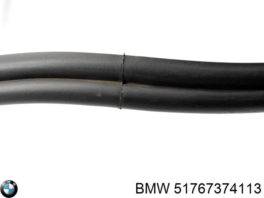 51767374113 BMW 