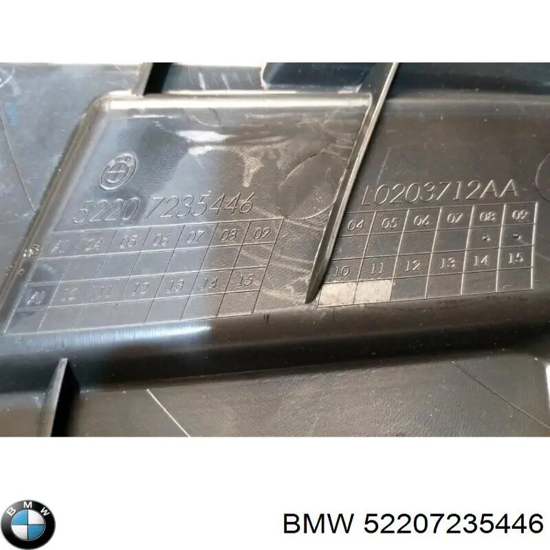 52207235446 BMW 