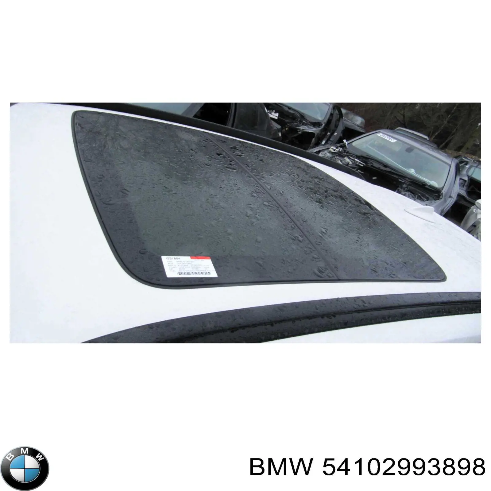 54102993898 BMW Люки підлоги