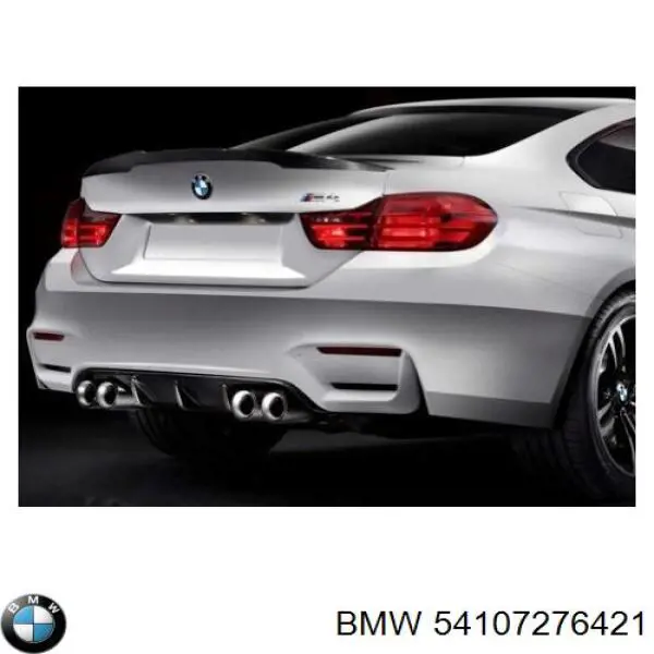 54107276421 BMW 