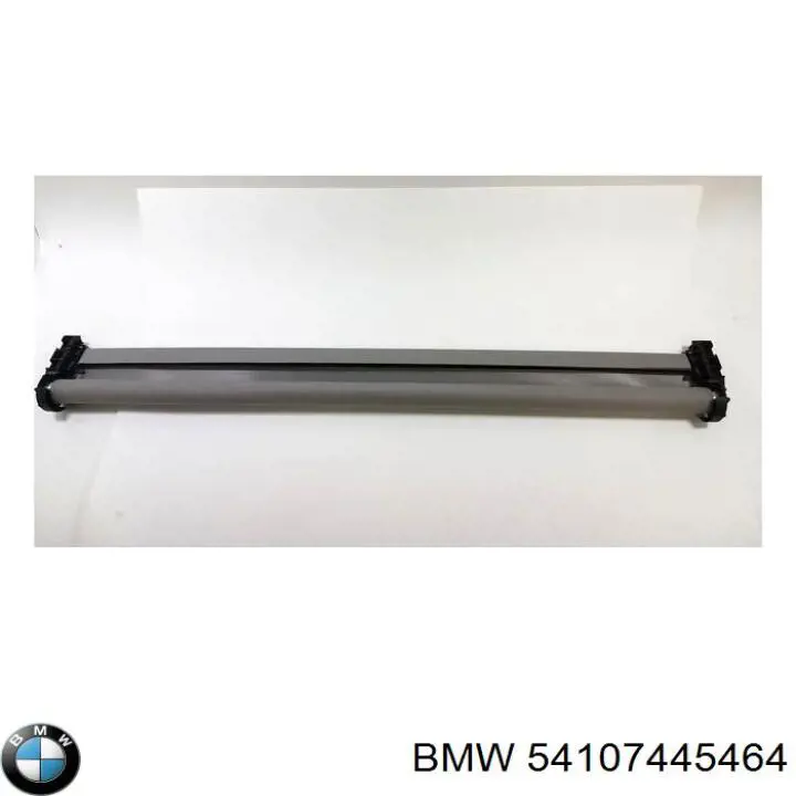 54107445464 BMW Кришка люка даху, задня