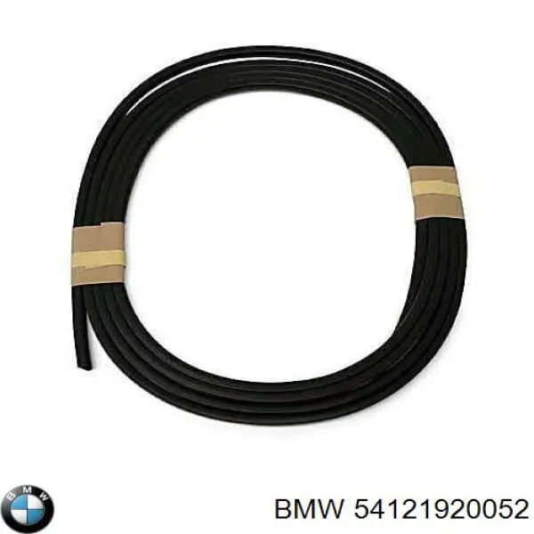 Прокладка адаптера маслянного фільтра 54121920052 BMW