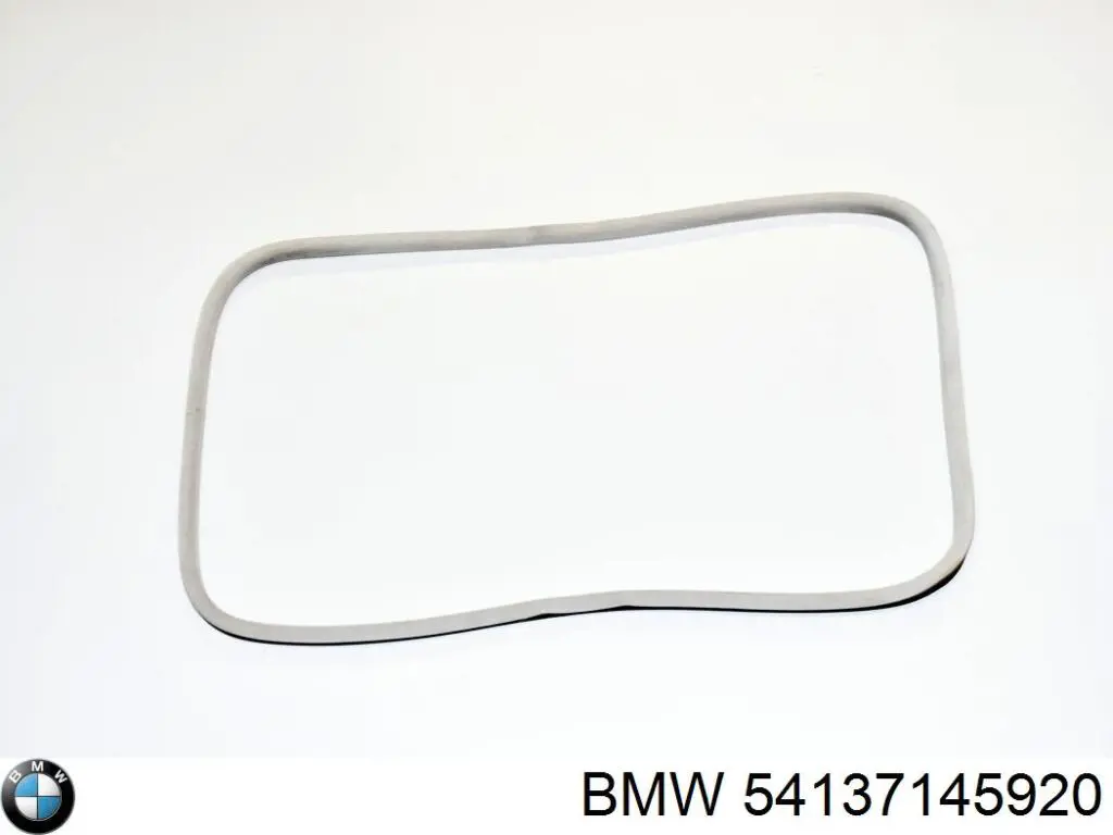 Панель люка BMW 54137145920 ціна, від 185.08 USD