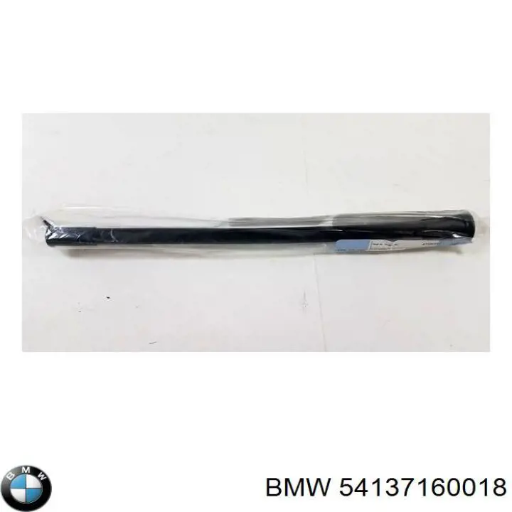 54137160018 BMW 