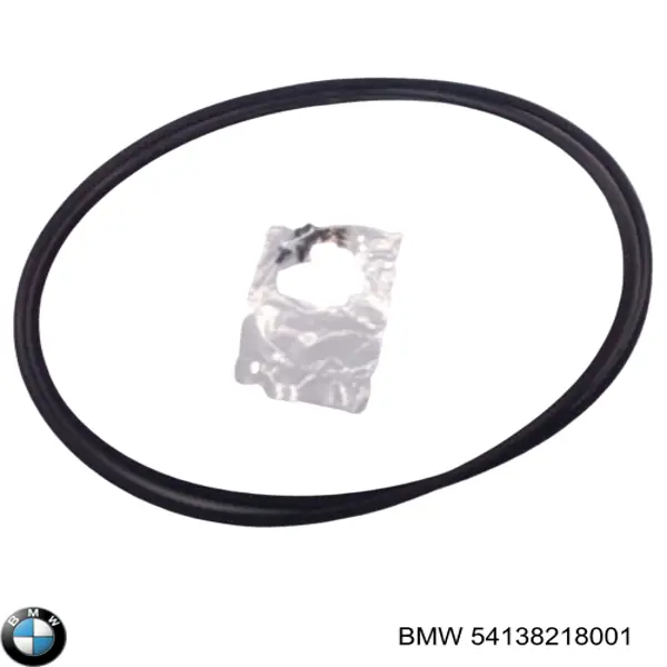 54138218001 BMW 