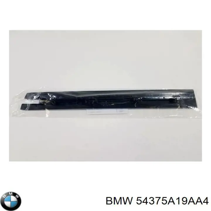  54375A19AA4 BMW