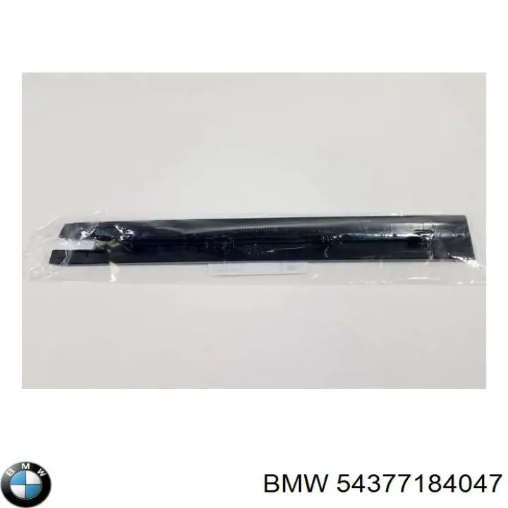  BMW 54377184047 ціна, від 55.91 USD