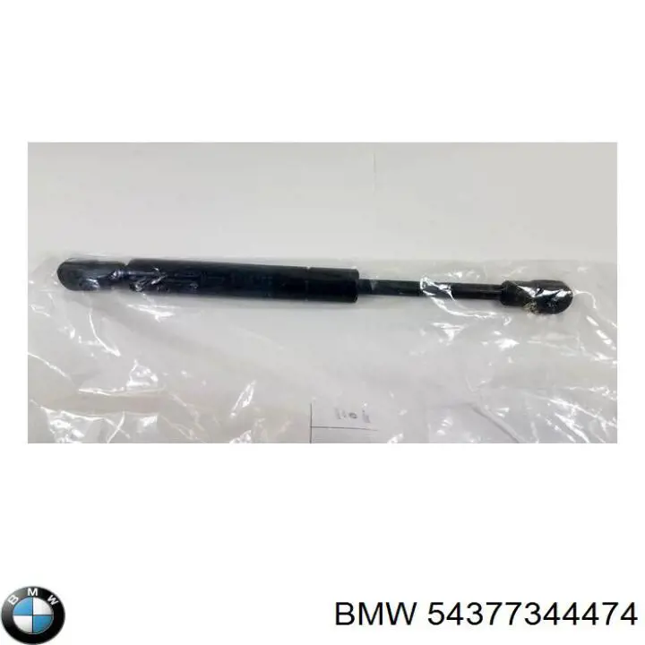 54377344474 BMW 