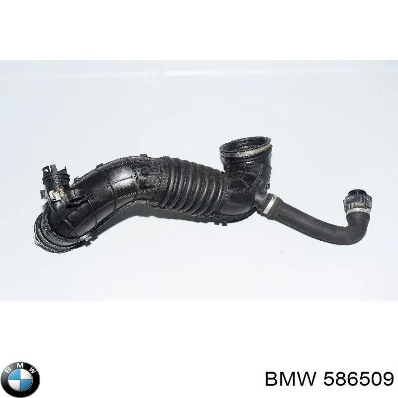  586509 BMW