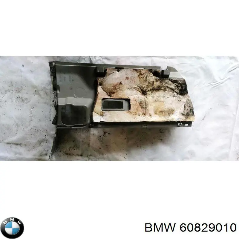  60829010 BMW