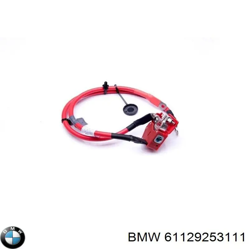 Клема акумулятора (АКБ) BMW 9253111 ціна, від 40.28 USD
