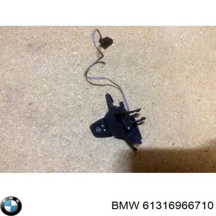 61316966710 BMW 