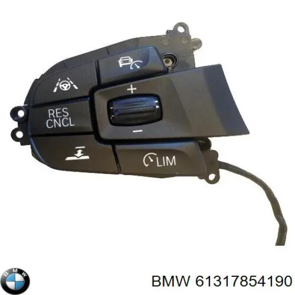 61317854190 BMW 