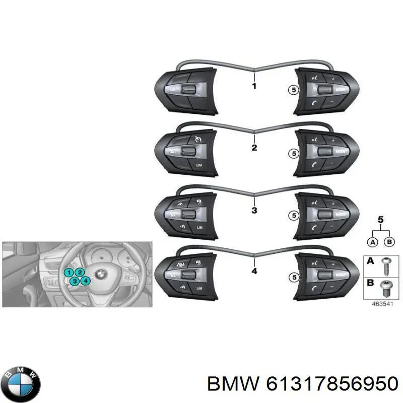61317856950 BMW 