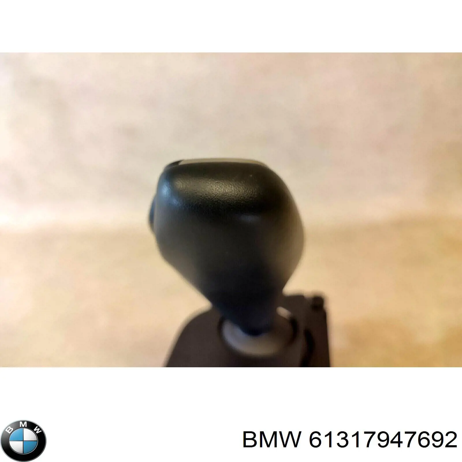  61319458752 BMW
