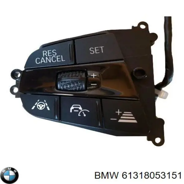 61318053151 BMW 
