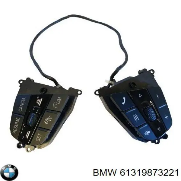  61319873221 BMW