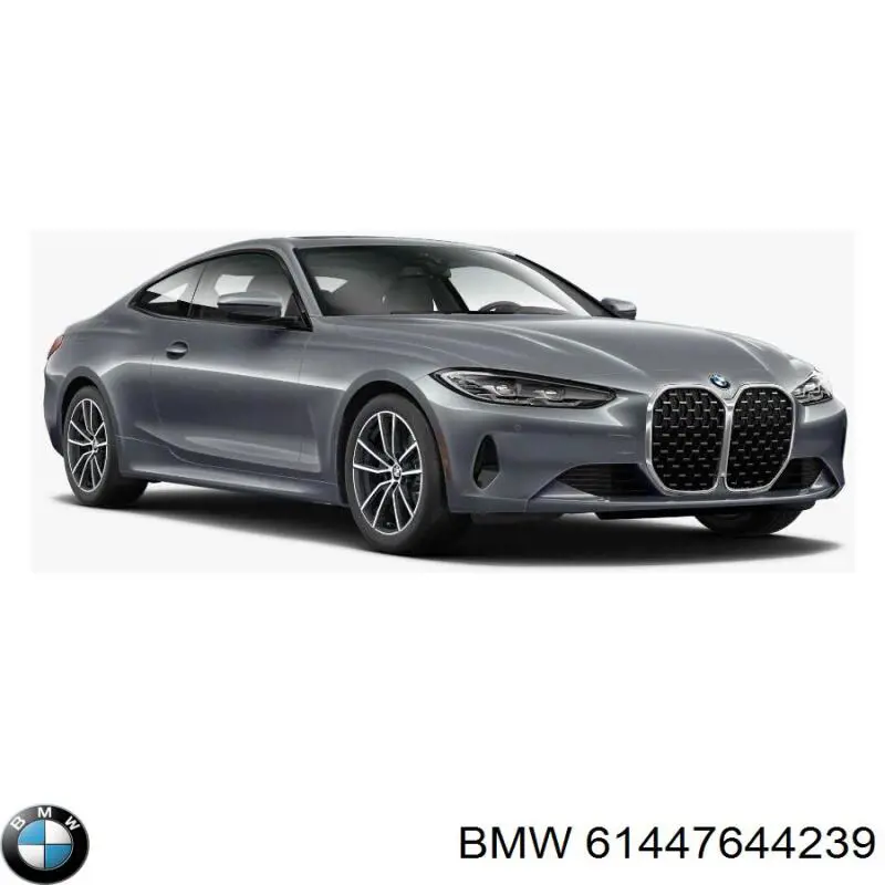61446818634 BMW 
