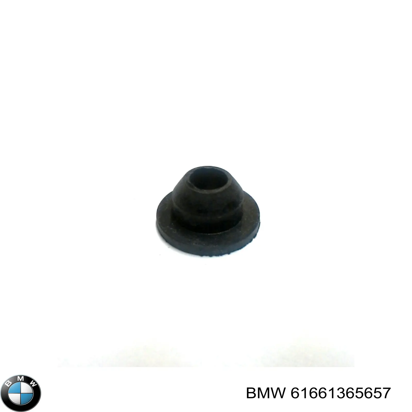  BMW 61661365657