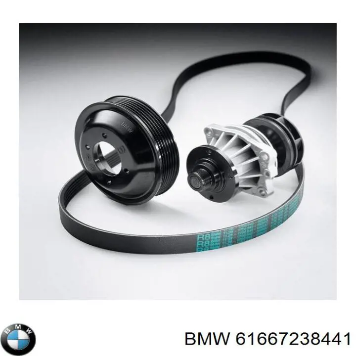 61667238441 BMW 