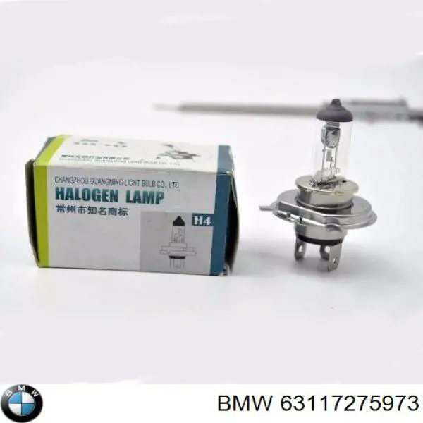 63117275973 BMW 