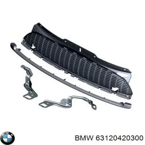 Купити 63120420300 BMW 