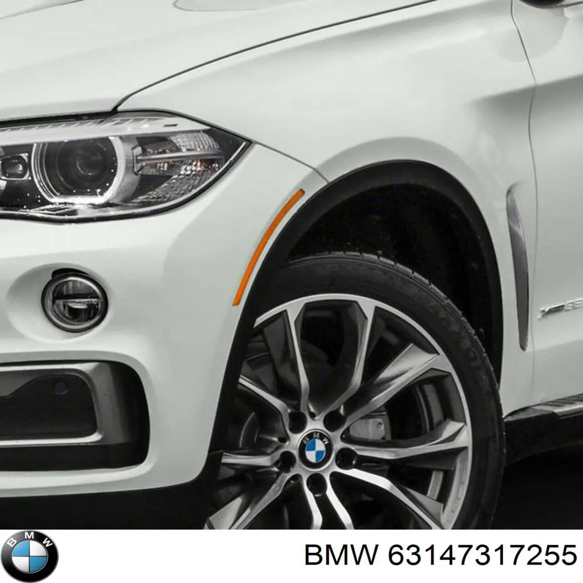 63147317255 BMW 