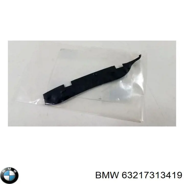 63217313419 BMW 