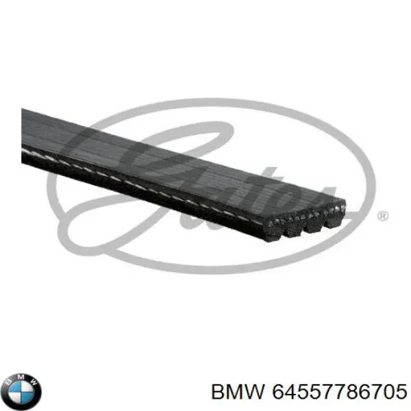 Купити 64557786705 BMW Ремінь генератора