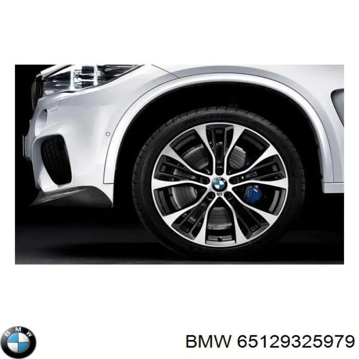 Магнітола (радіо AM/FM) BMW 65129325979 ціна, від 1948.10 USD