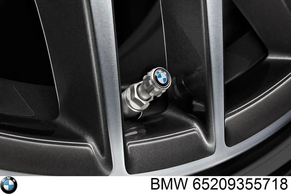  BMW 65209355718 ціна, від 46.44 USD