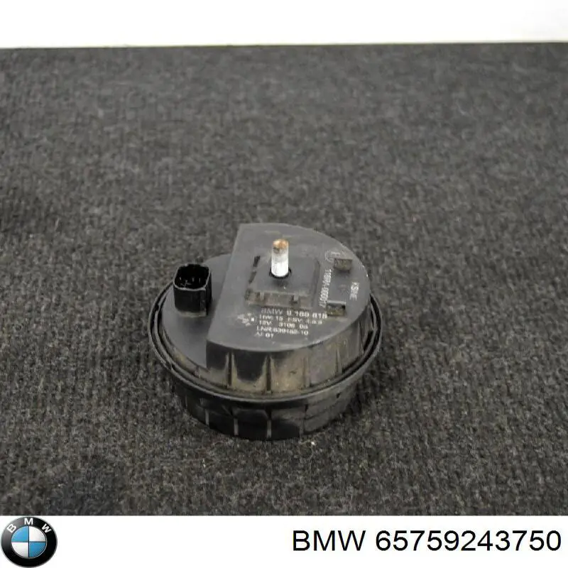  65759243750 BMW