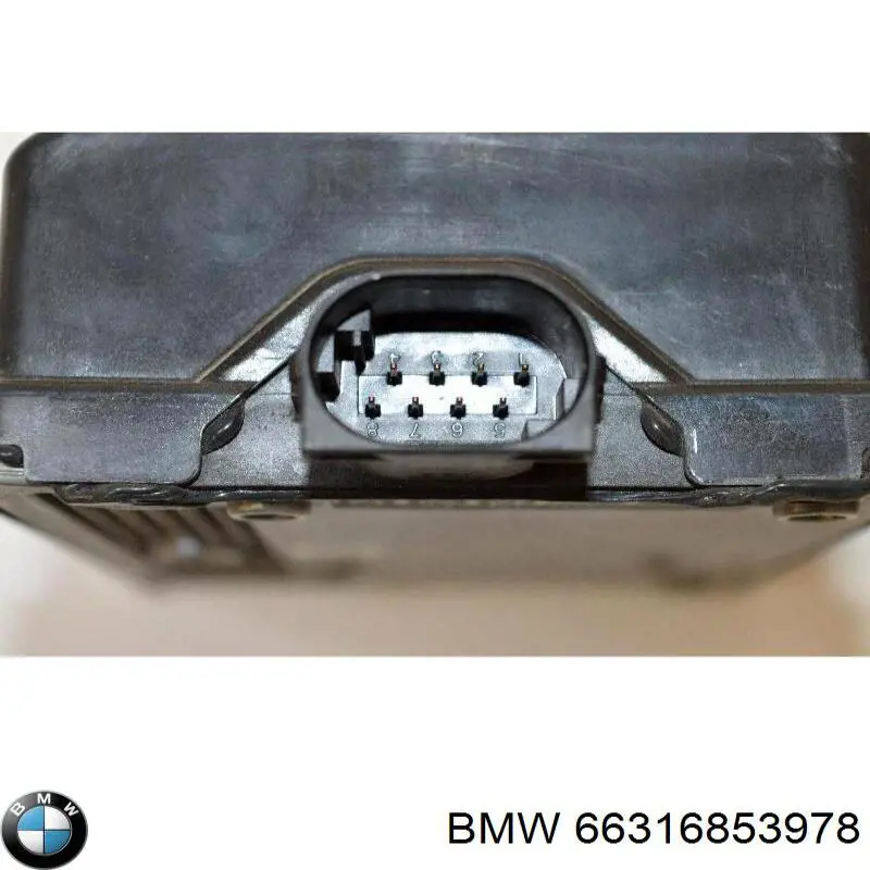 66316853978 BMW 
