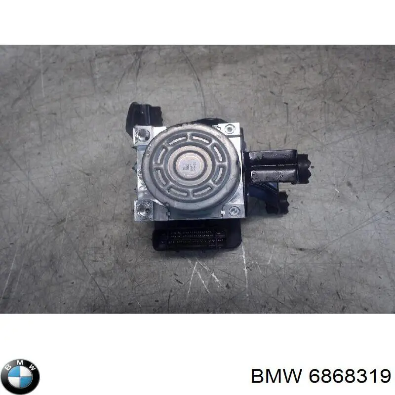 6868319 BMW 