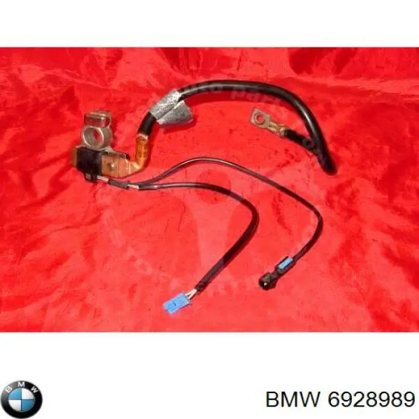 6928989 BMW 