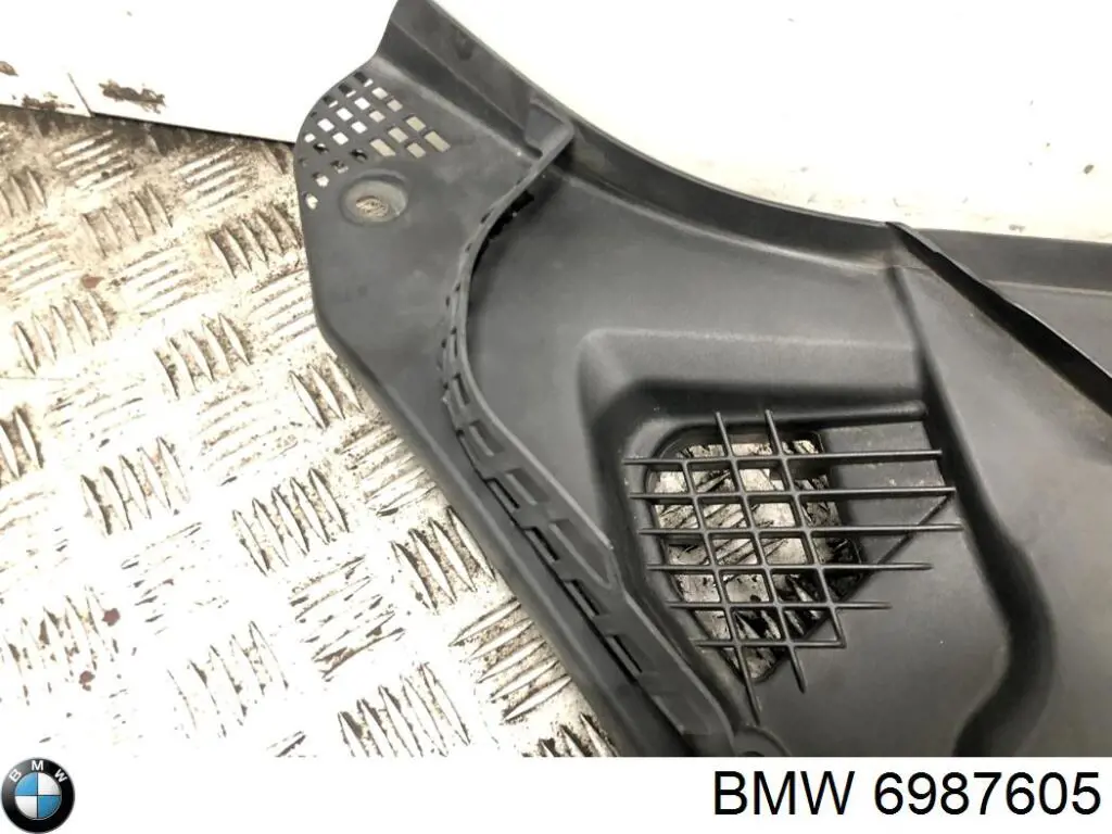 6987605 BMW 