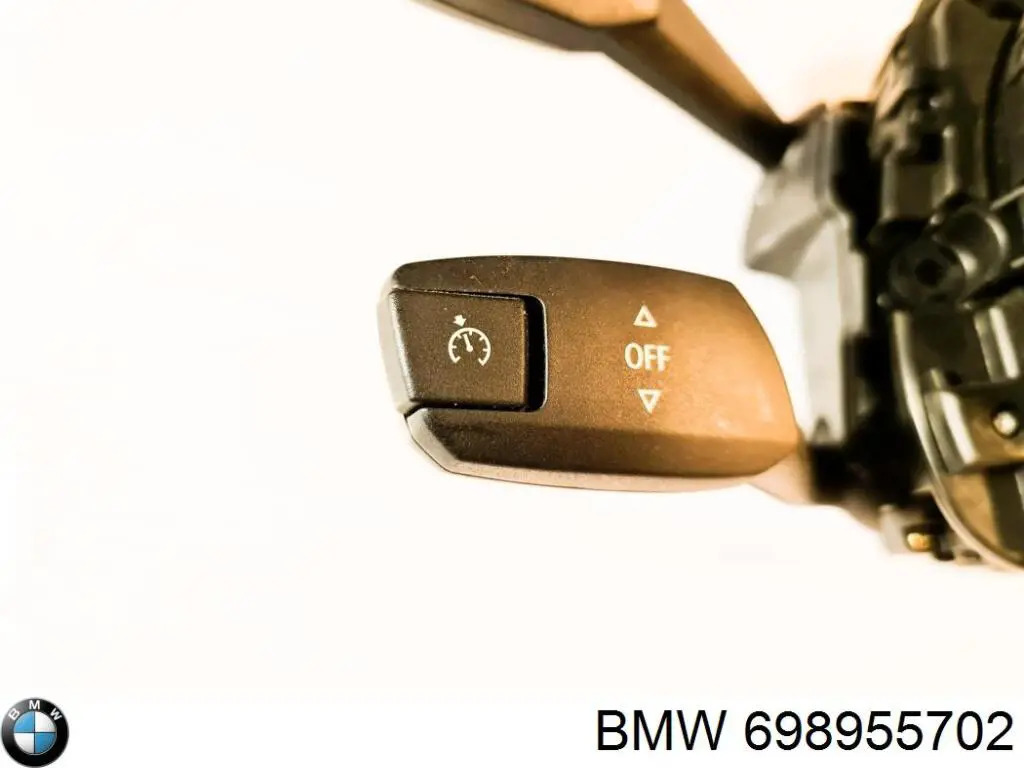  698955702 BMW