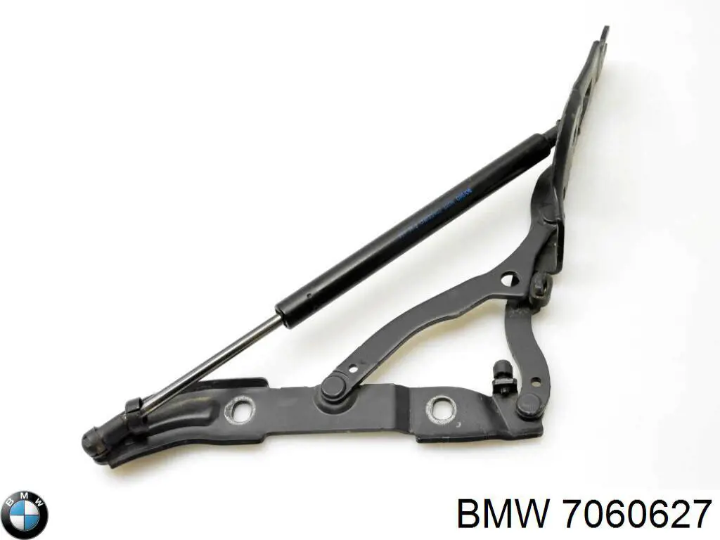 Завіса кришки багажника BMW 7060627 ціна, від 7.05 USD