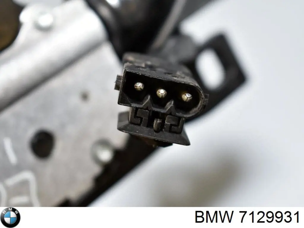 7129931 BMW 