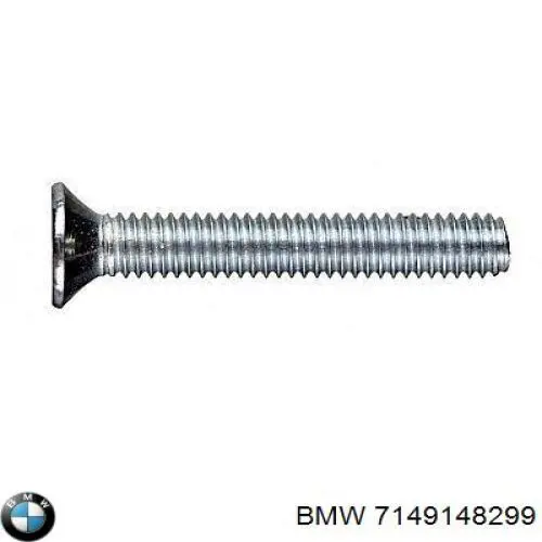 7149148299 BMW 