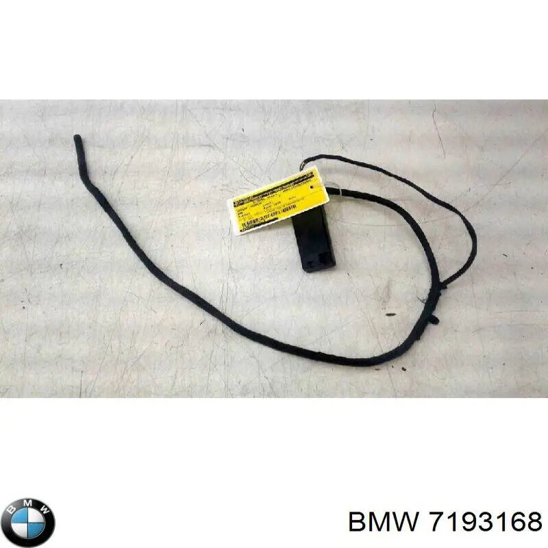 7193168 BMW 